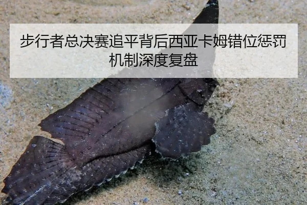 bu-xing-zhe-zong-jue-sai-zhui-ping-bei-hou-xi-ya-ka-mu-cuo-wei-cheng-fa-ji-zhi-shen-du-fu-pan-2-102.jpg